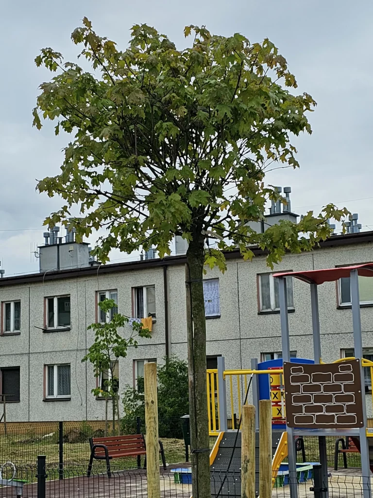 Tereny zielone na osiedlach mieszkaniowych