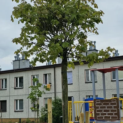 Tereny zielone na osiedlach mieszkaniowych