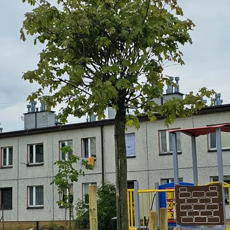 Tereny zielone na osiedlach mieszkaniowych