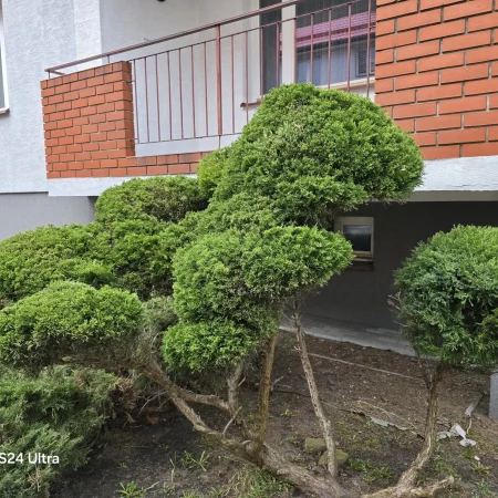 Utrzymanie terenów zielonych na osiedlach mieszkaniowych