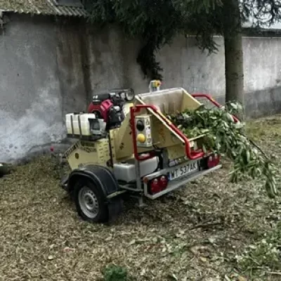 Tereny zielone wspólnot mieszkaniowych i firm. Jak profesjonalnie dbać o tereny zewnętrzne w Kielcach?