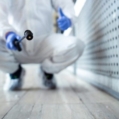 Zdjęcie pobrane ze strony pl.freepik.com