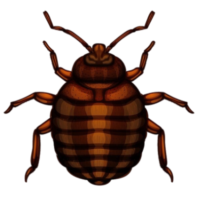 Zdjęcie pobrane ze strony pl.freepik.com